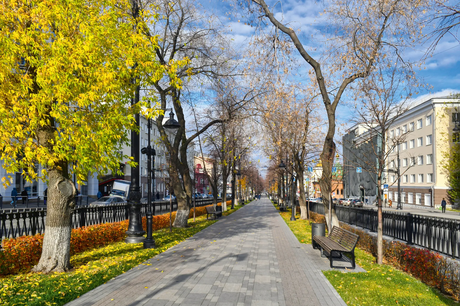 Липовая аллея на Комсомольском проспекте / Komsomol Avenue. The Linden alley